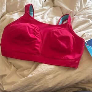 Champion Fuchsia High Impact/Support Sports Bra 34DD Brand New with Tags